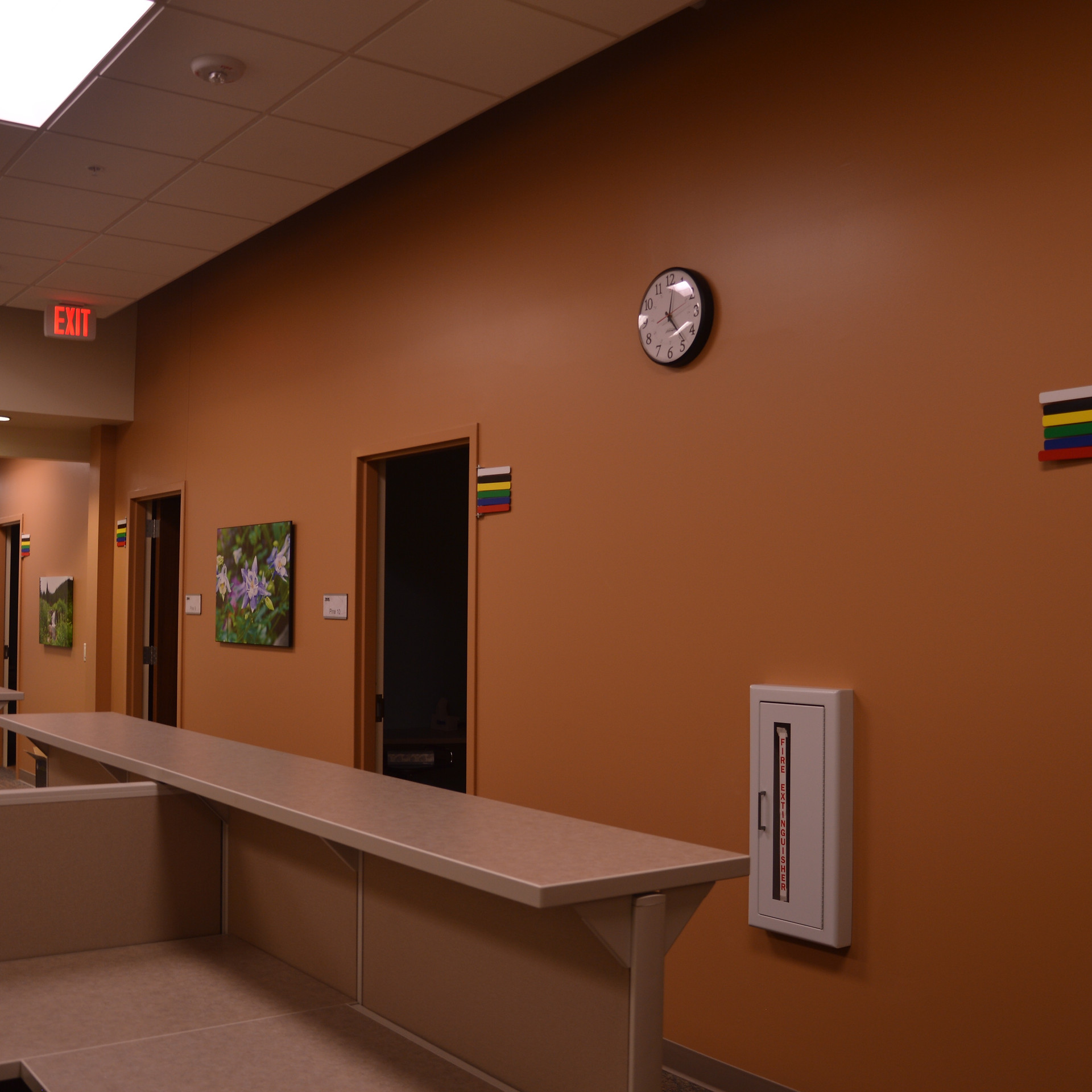 Healthcare Project 12